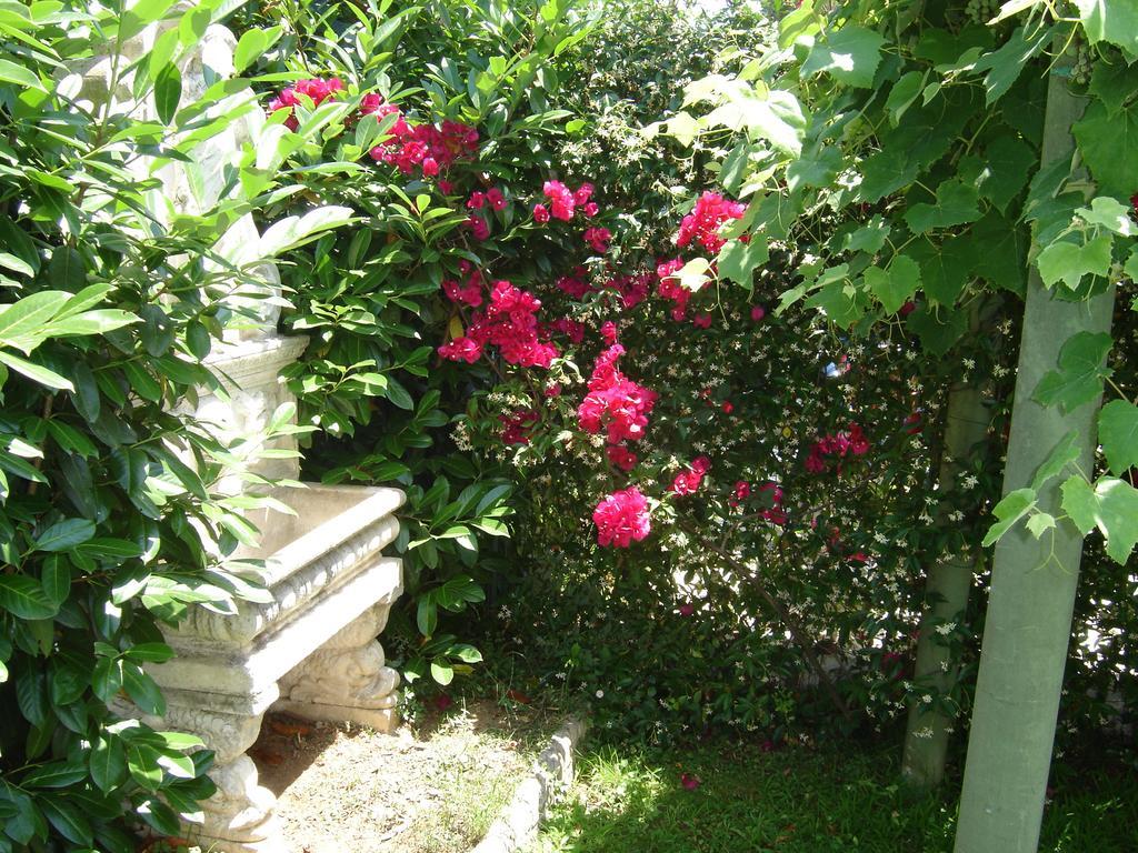 B&B Villa Fantasia Gaeta Exterior foto